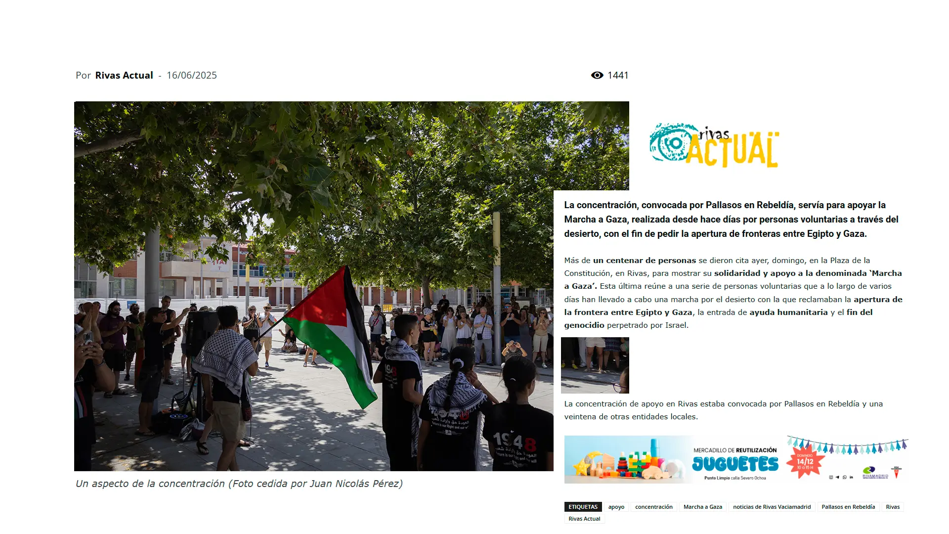 Manifestación Palestina en prensa